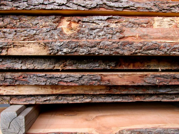 Local live edge slabs from Forest Products Associates